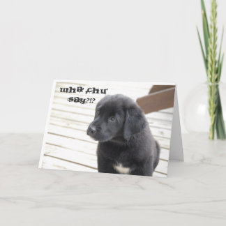 Cartão wha' chu' say?!?