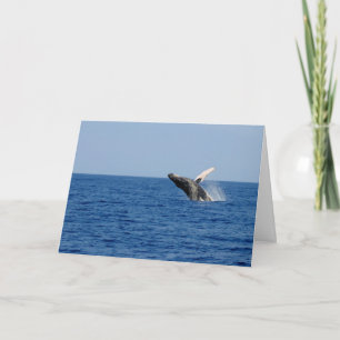 Cartão Whale of a Time