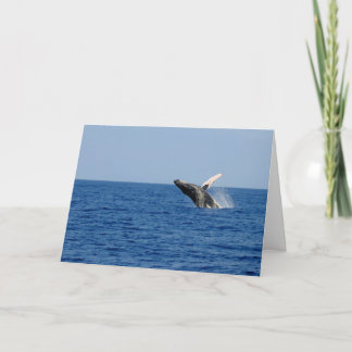 Cartão Whale of a Time