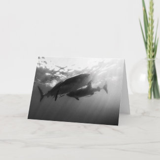 Cartão Whale Sharks Notecard