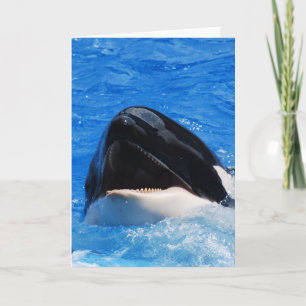 Cartão Whale Sounds Greeting Card