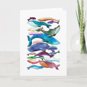 Cartão Whales, Dolphins & Porpoises