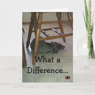 Cartão What a Difference A Year Makes!!!!