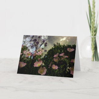 Cartão what blooms in the shadows card