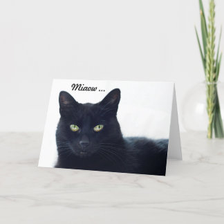 Cartão What does this cat tell us on a birthday?