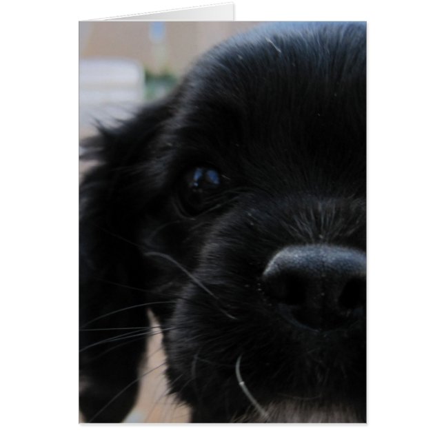 Cartão Whatchaupto (Frente)