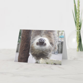 Cartão What's Hangin' ? Card