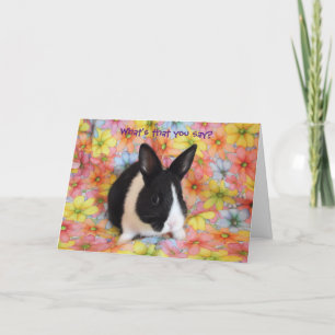 Cartão What's that you say?  Bunny all ears note card