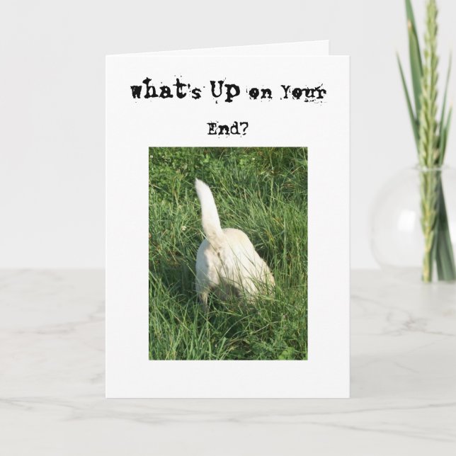 Cartão What's Up (Frente)