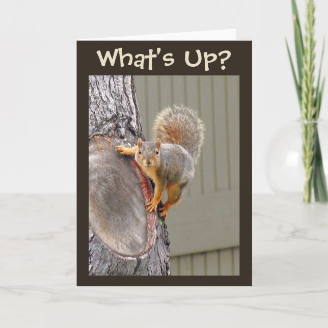 Cartão What's Up? Squirrel Photo (Frente)