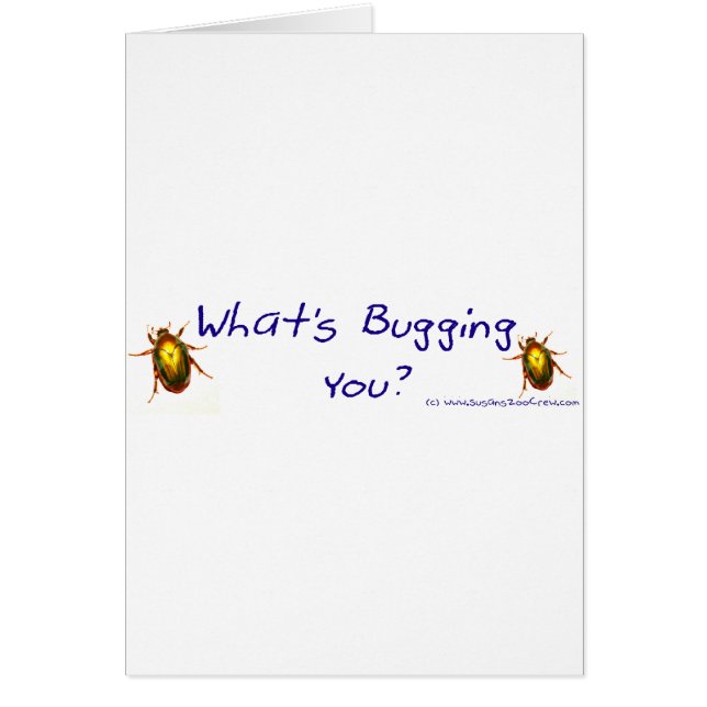 Cartão WhatsBuggingYouBumperSticker (Frente)