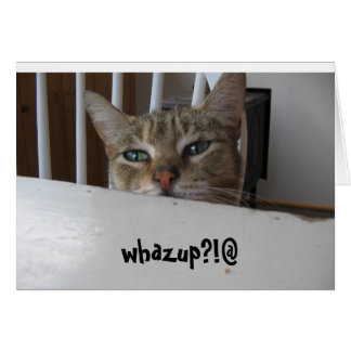 Cartão whazup puzzy cat?!