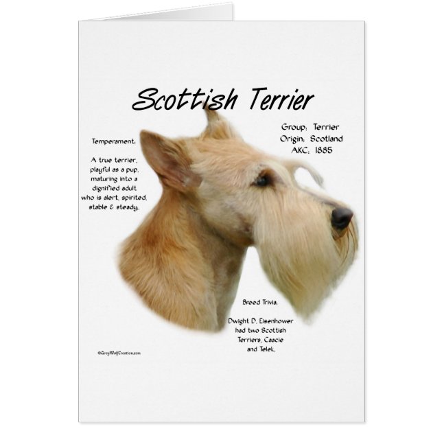 Cartão Wheaten Scottie History (Frente)