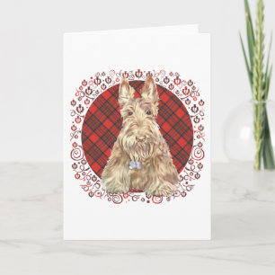 Cartão Wheaten Scottie Tartan