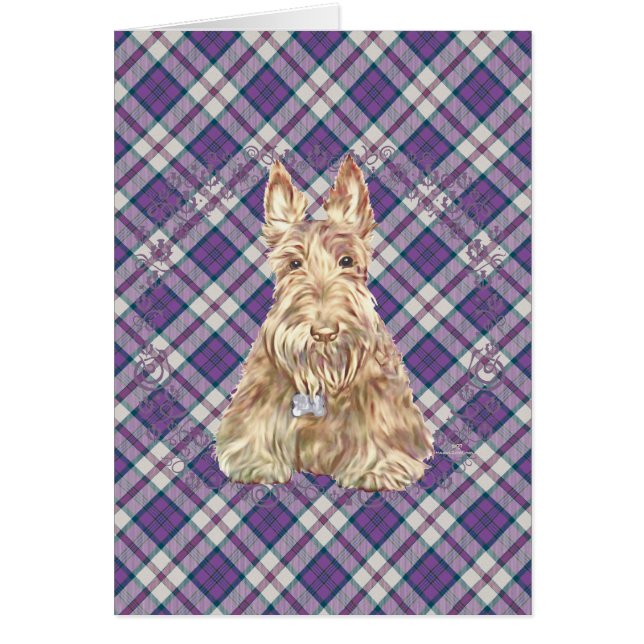 Cartão Wheaten Scottie Tartan (Frente)