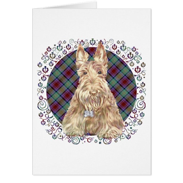 Cartão Wheaten Scottie Tartan (Frente)