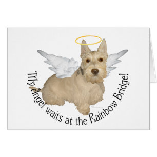 Cartão Wheaten Scottish Terrier Angels