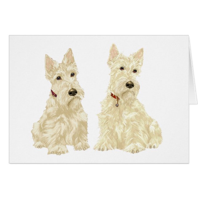 Cartão Wheaten Scottish Terriers (Frente Horizontal)
