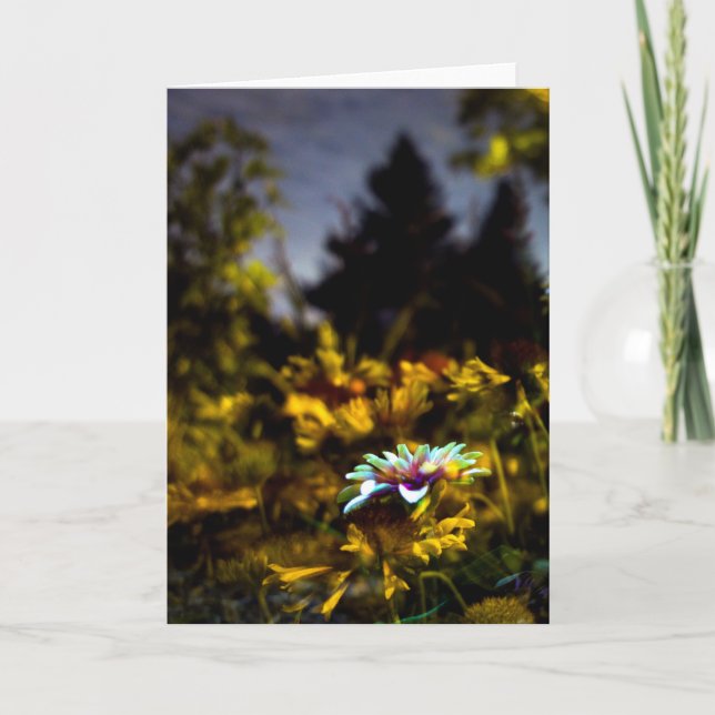 Cartão where dreams may come (Frente)