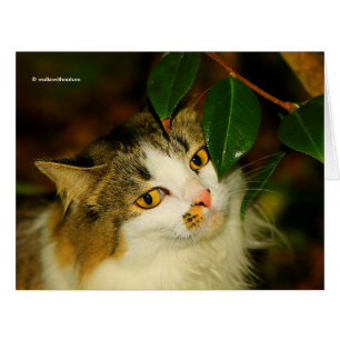 Cartão Whimsical The Cat e Camellia