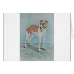 Cartão Whippet