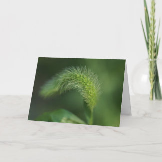 Cartão Whispy Grass Greeting Card H