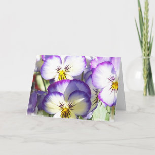 Cartão White and Purple Violas Greeting Card