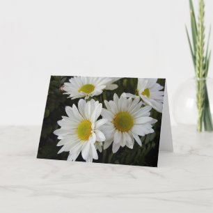 Cartão White and Yellow Daisies Blank Note Card