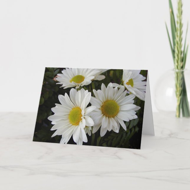 Cartão White and Yellow Daisies Blank Note Card (Frente)
