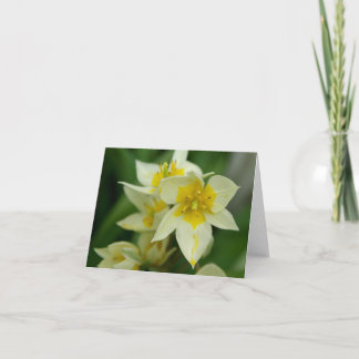 Cartão White and Yellow Flower Notecard