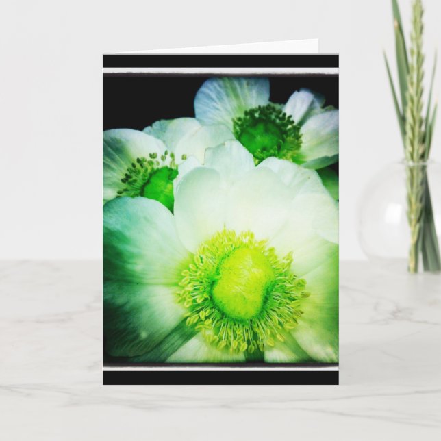 Cartão White Anemone Blank Greeting Card (Frente)