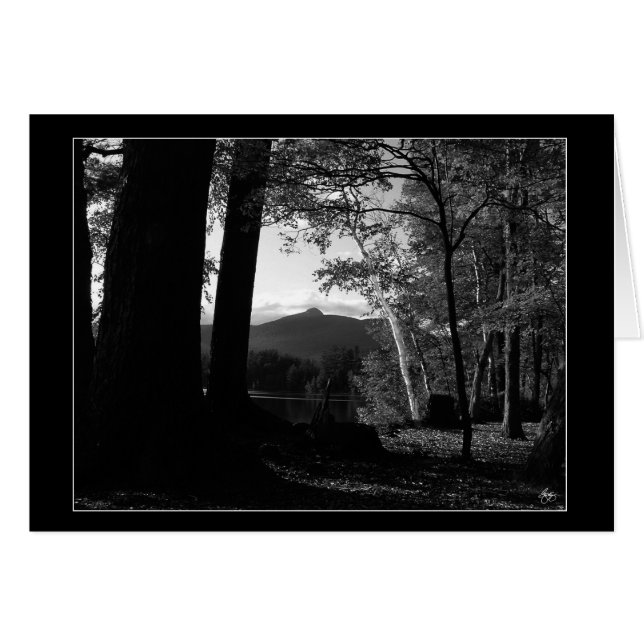 Cartão White Birch em uma Placa Sunset Chocorua (Frente Horizontal)