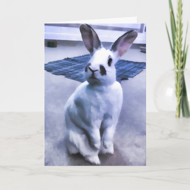 Cartão White & Black Bunny (Frente)