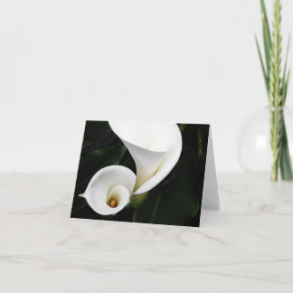 Cartão White calla Lillies