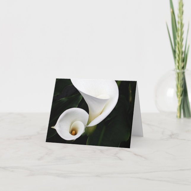 Cartão White calla Lillies (Frente)