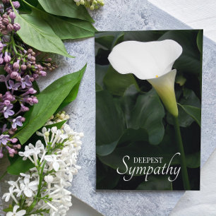 Cartão White Calla Lily Floral Simpatia