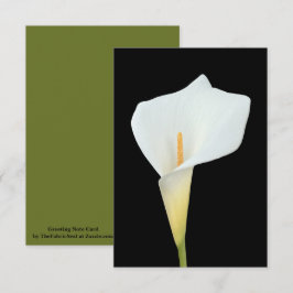 Cartão White Calla Lily Flower Backyard Foto do jardim