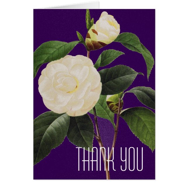 Cartão White Camellia, 1833 (Frente)