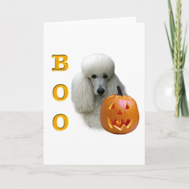 Cartão White Coated Poodle Boo (Frente)