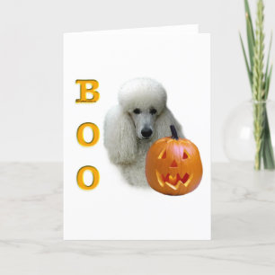 Cartão White Coated Poodle Boo