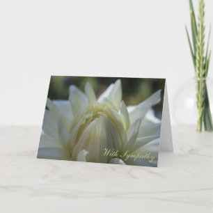 Cartão White Dahlia Sympathy Card