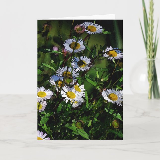 Cartão White Daisy Blank Greeting Card (Frente)