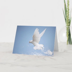 Cartão White dove blank greeting card