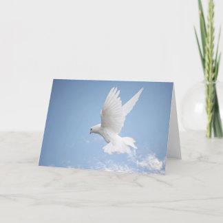 Cartão White dove blank greeting card