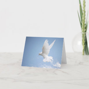 Cartão White dove notecard