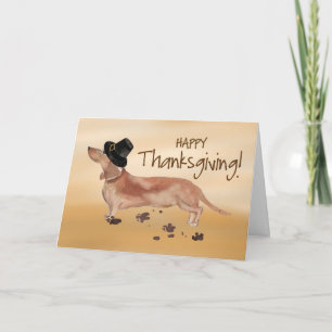 Cartão White e Tan Dachshund Pilgrim Hat Ação de Graças