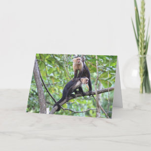 Cartão White-Faced Monkey Family Photo