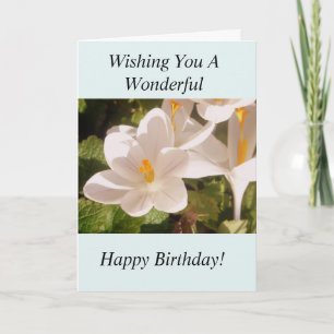 Cartão White Flower Light and Shade Birthday Card