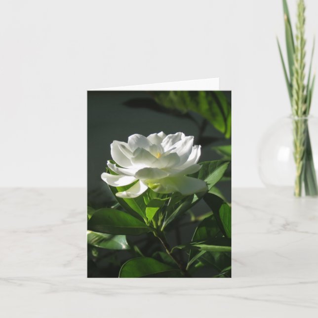 Cartão White Gardenia Blossom Note Card (Frente)