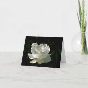 Cartão White Gardenia Blossom Note Card